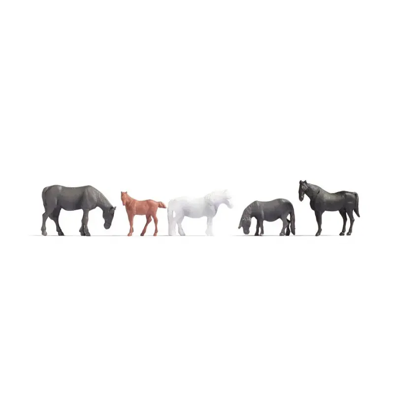 Certifié Chevaux - NOCH 18215 - HO 1/87