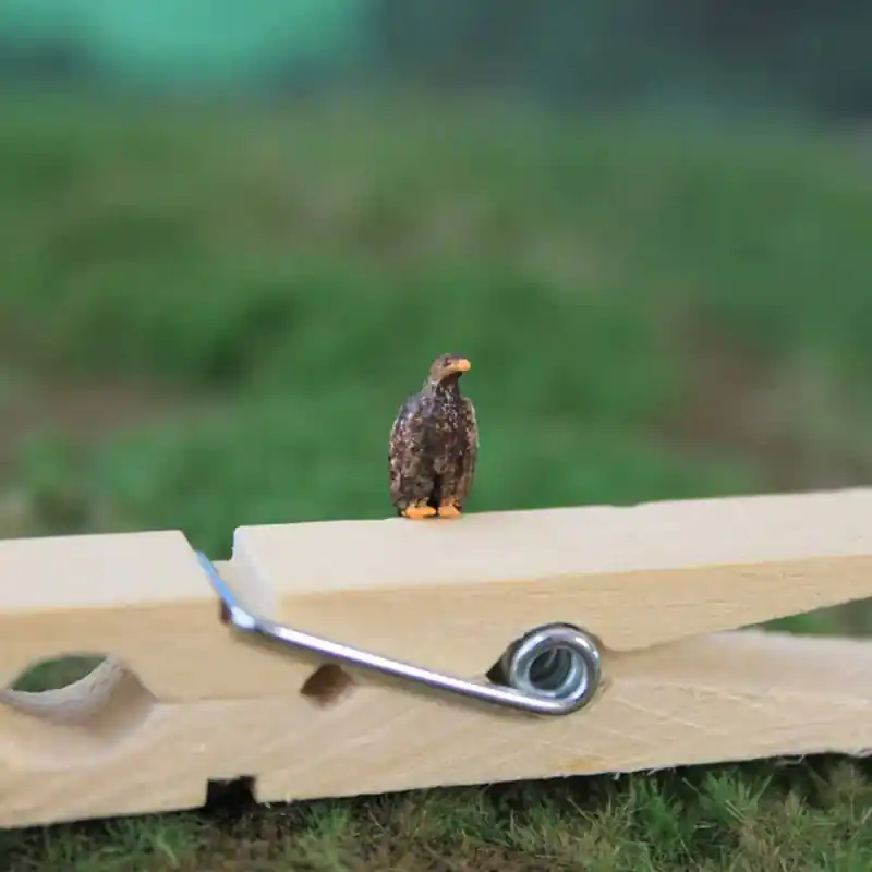 1 aigle royal à percher sur une branche - VAN PETEGEM SCENARY HOK10 - 1/87 Soldes