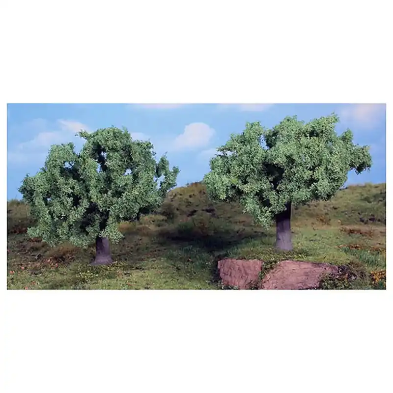 2 oliviers 11cm Livraison Express