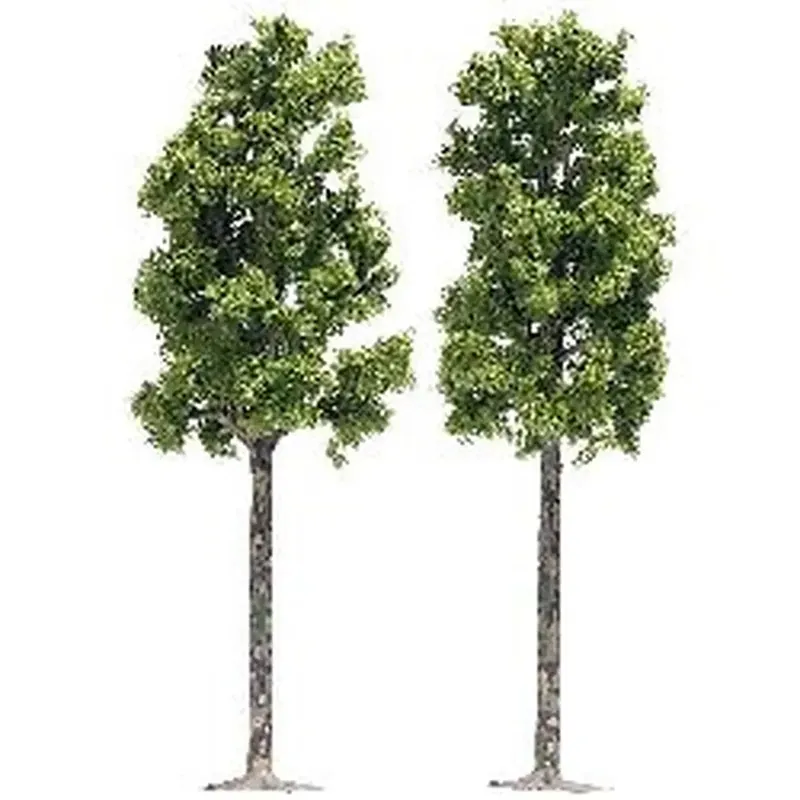 2 platanes 16.5 cm Achetez Aujourd'hui