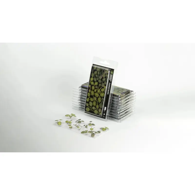 Laser Plants - Monstera Authentique