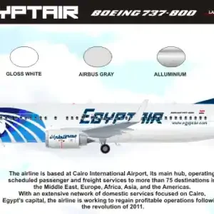8aDecs 7909-177-200 Egypt Air Boeing 737-800 Prix Bas