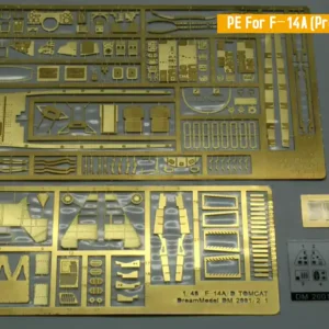 Expédition Rapide Dream Model DM2001_1 PE for F-14A
