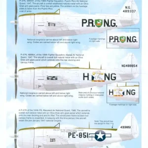 Iliad Design 48029 Republic P-47 D/N Thunderbolts Hawaii, Puerto Rico and Maryland ANG Acheter Direct